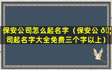 保安公司怎么起名字（保安公 🦟 司起名字大全免费三个字以上）